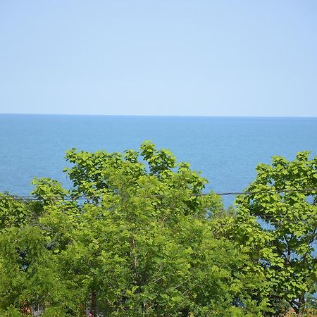 Razvan Holiday Costinesti Ngoại thất bức ảnh
